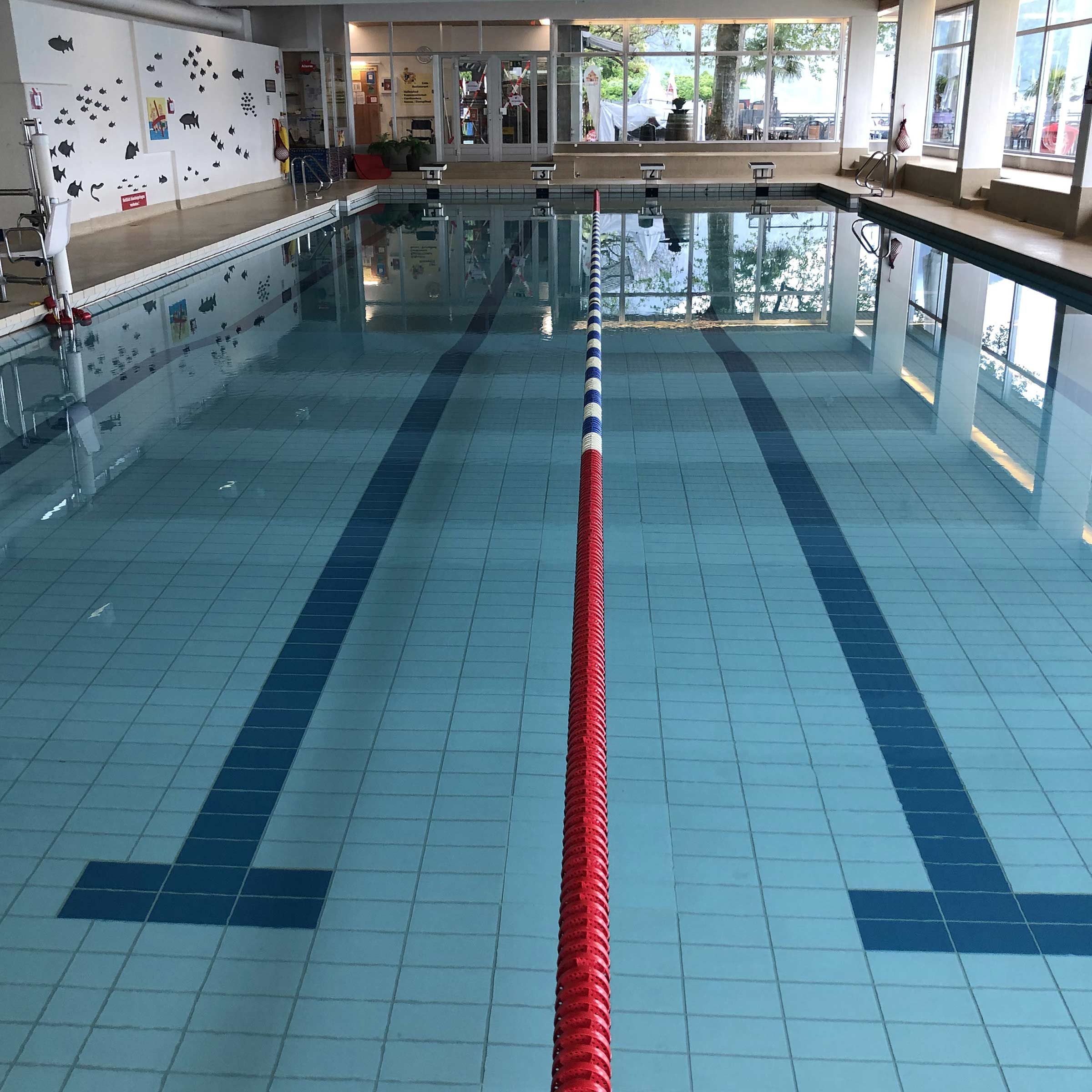 Schwimmschule Weggis